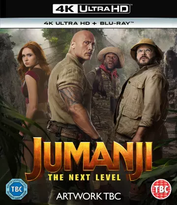 Jumanji: next level